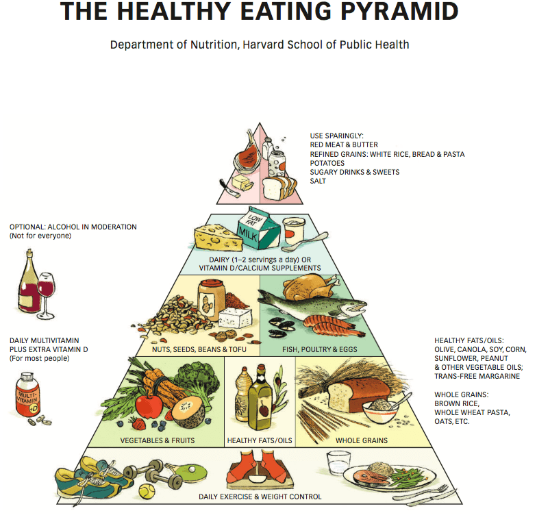 гарвардская пирамида питания